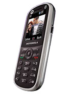 Best available price of Motorola WX288 in Suisse